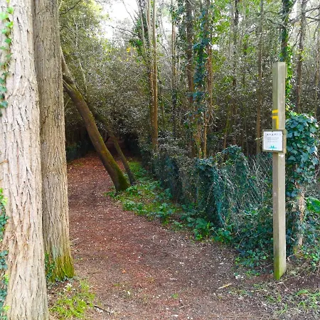 Apartamento Le Pierani - A 90m De La