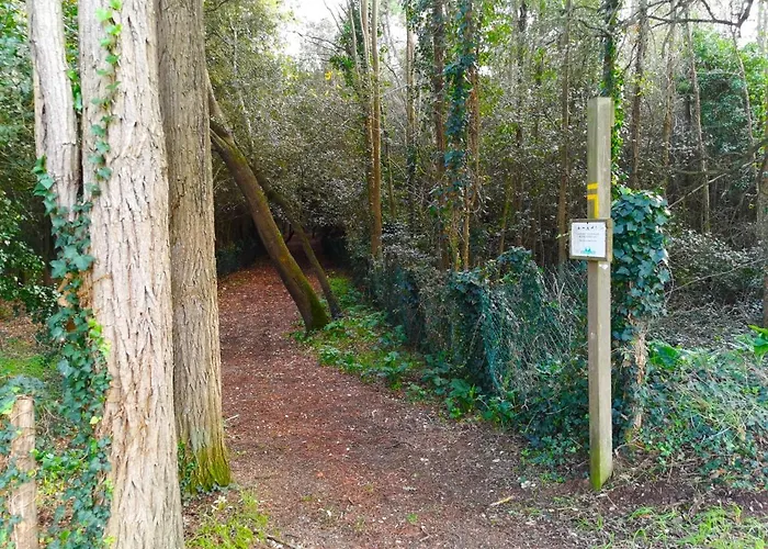 Apartment Le Pierani - A 90m De La